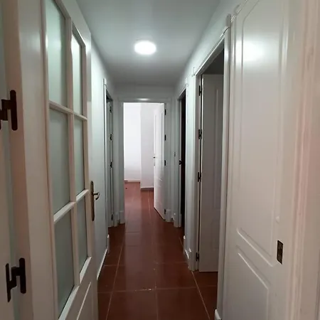 Apartment Premium 3 Alcaudon